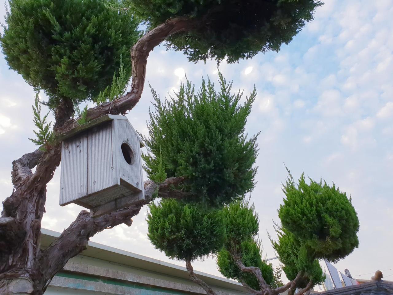 Hanok Raon Gyeongju Dış mekan fotoğraf